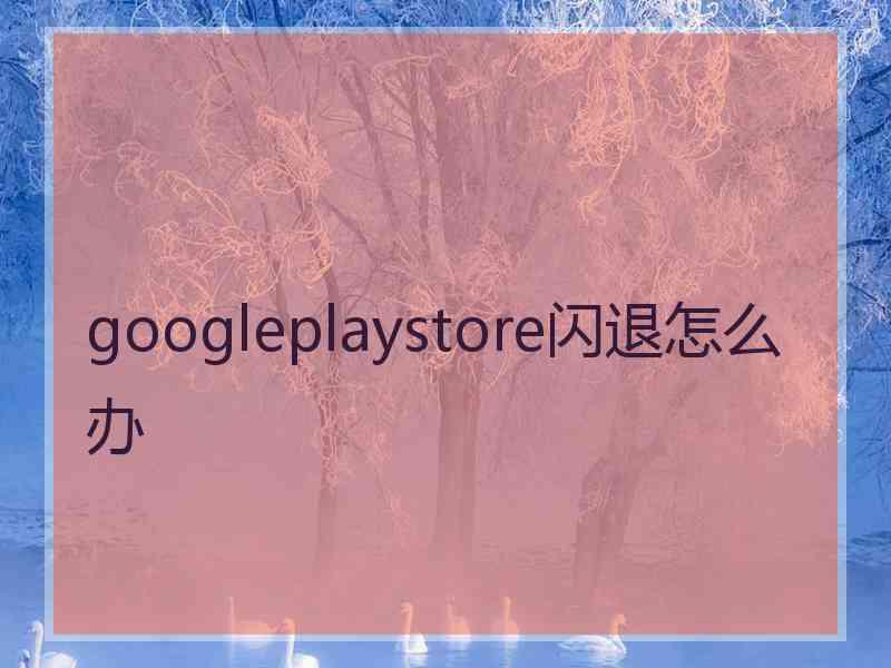 googleplaystore闪退怎么办