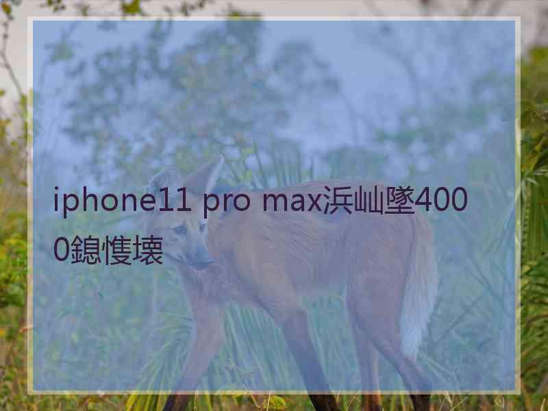 iphone11 pro max浜屾墜4000鎴愯壊