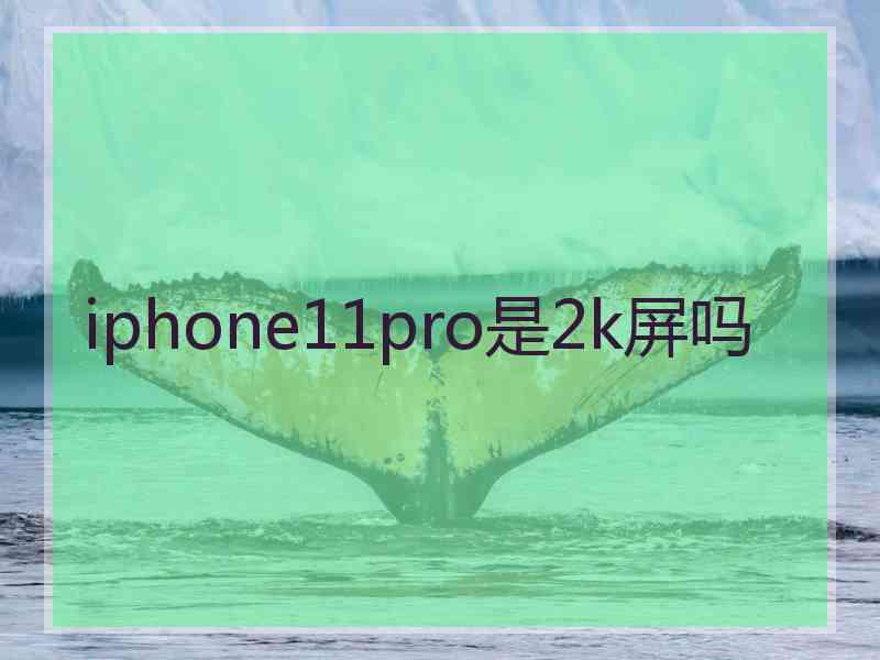 iphone11pro是2k屏吗