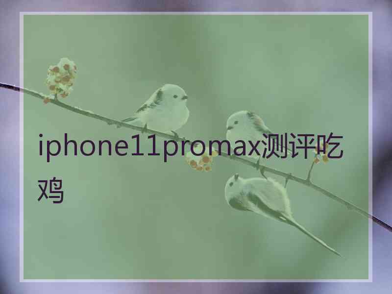 iphone11promax测评吃鸡