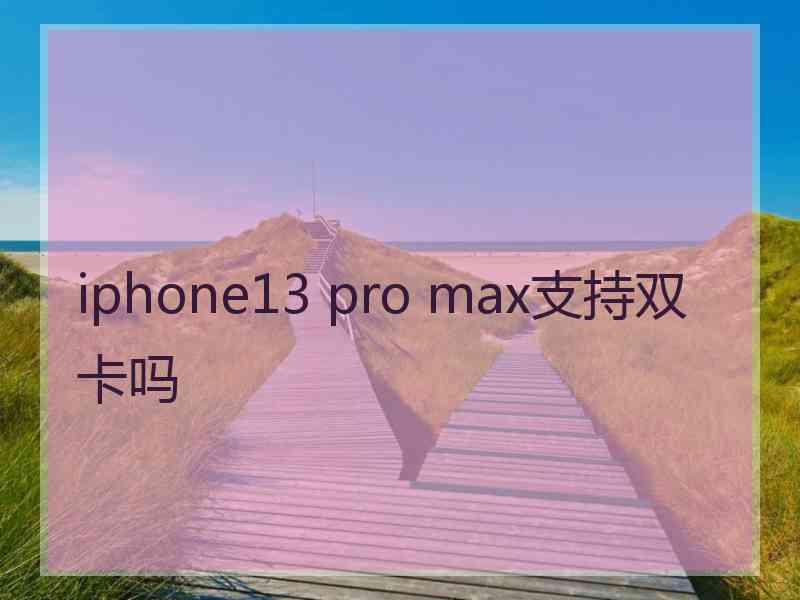 iphone13 pro max支持双卡吗