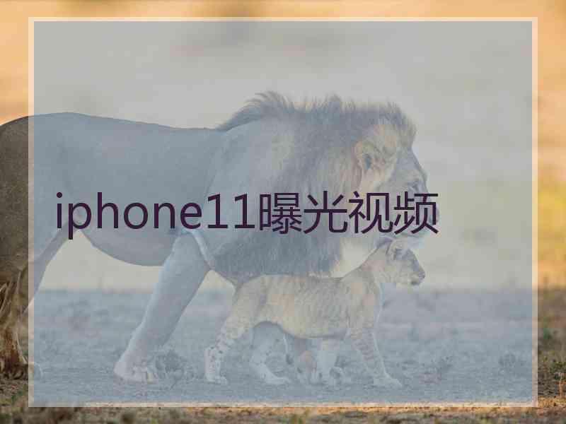 iphone11曝光视频