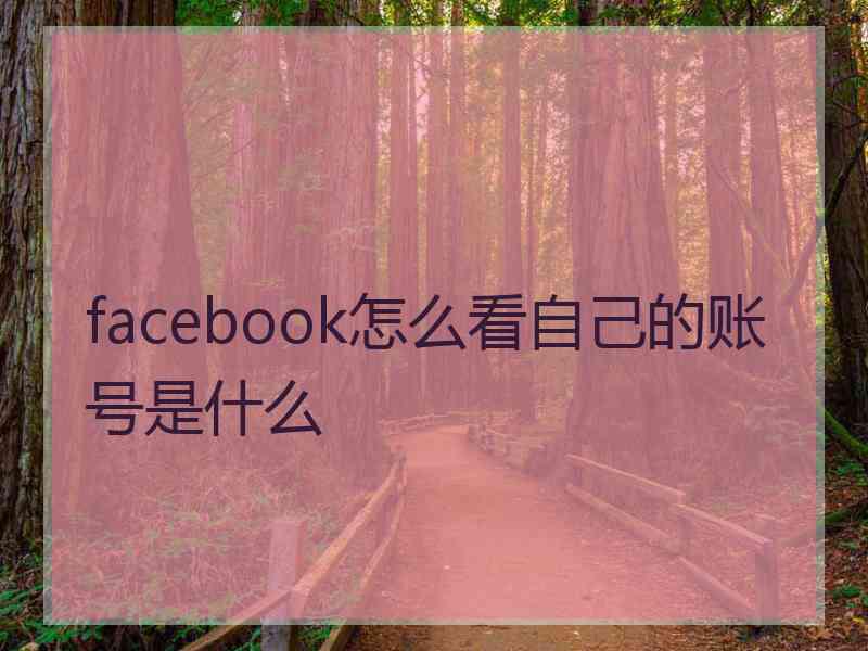 facebook怎么看自己的账号是什么