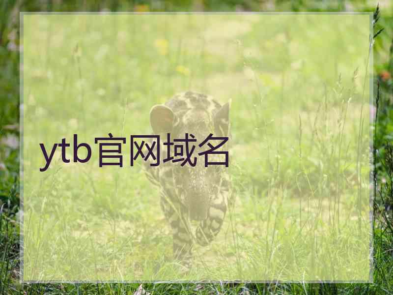 ytb官网域名