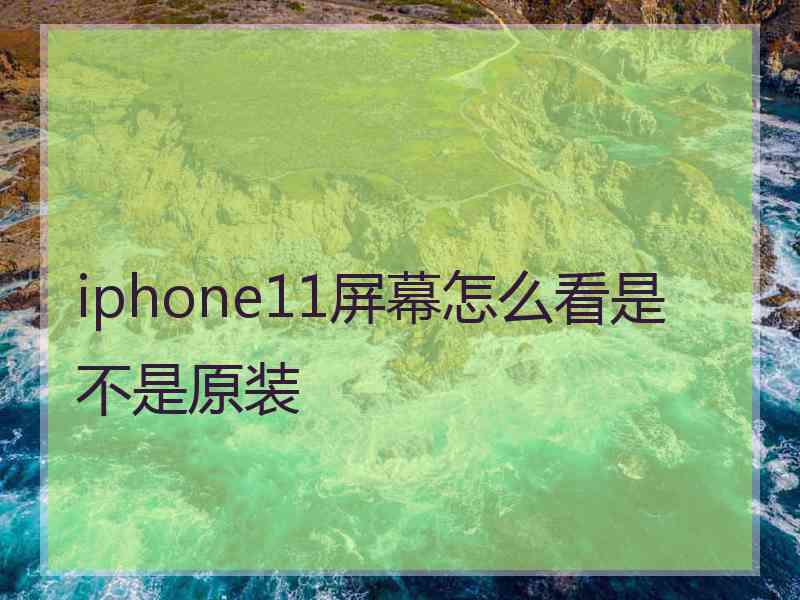 iphone11屏幕怎么看是不是原装