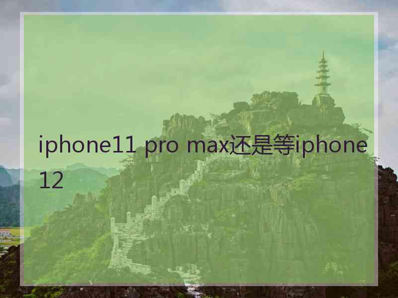 iphone11 pro max还是等iphone12