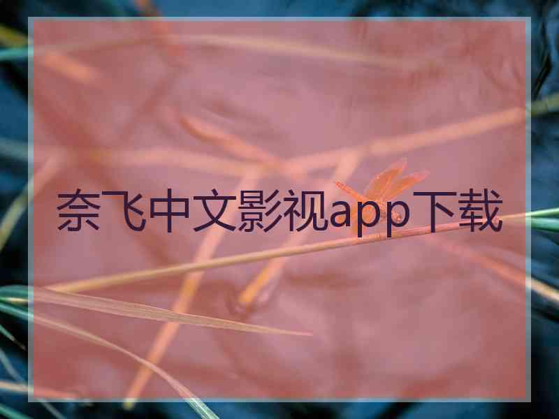 奈飞中文影视app下载