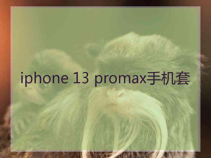 iphone 13 promax手机套