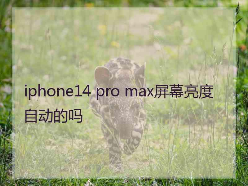 iphone14 pro max屏幕亮度自动的吗