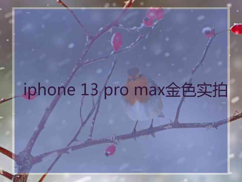 iphone 13 pro max金色实拍