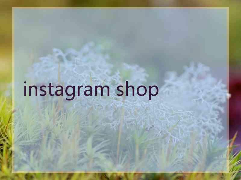 instagram shop