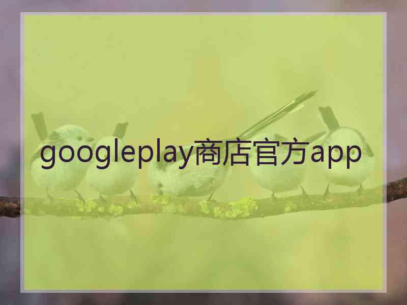 googleplay商店官方app