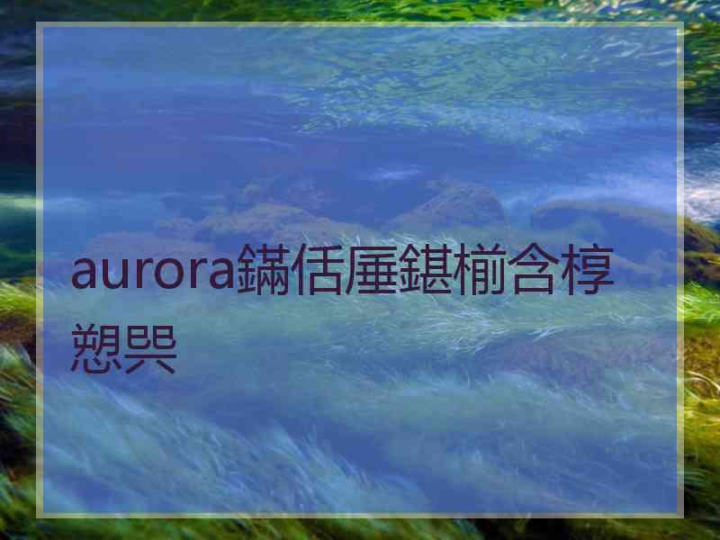 aurora鏋佸厜鍖椾含椁愬巺