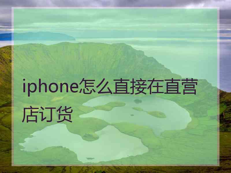 iphone怎么直接在直营店订货