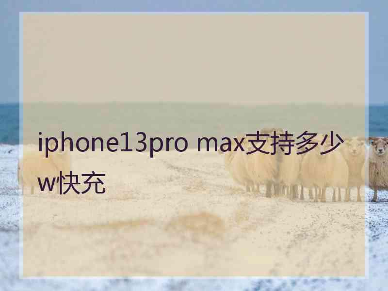 iphone13pro max支持多少w快充