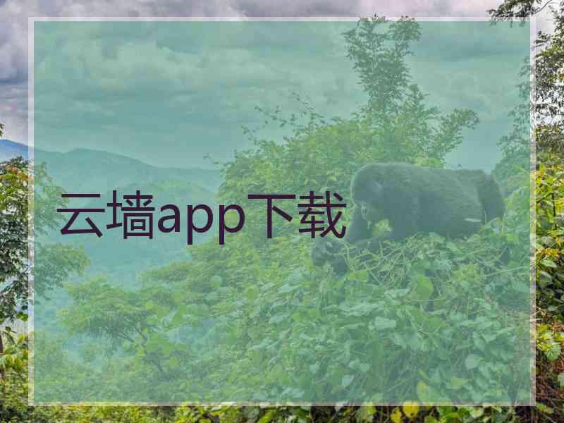 云墙app下载