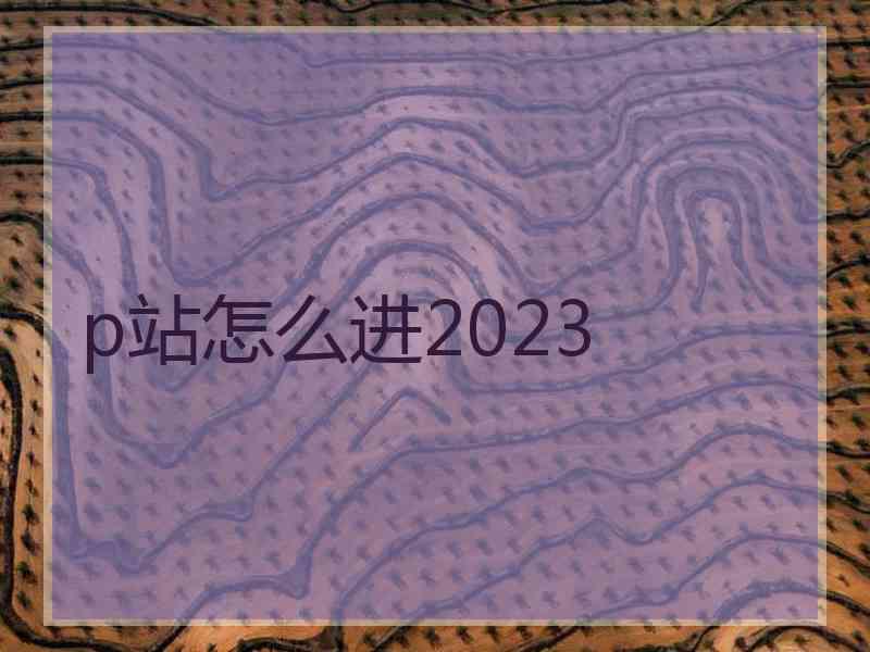 p站怎么进2023