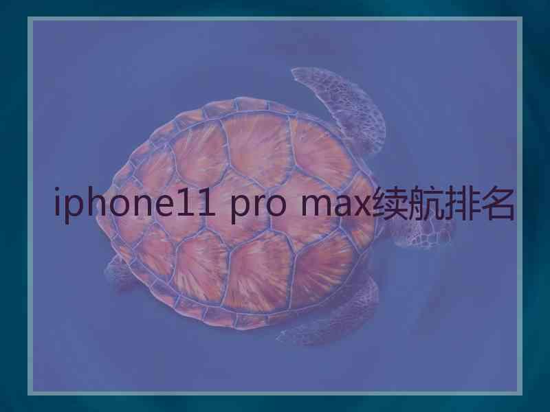 iphone11 pro max续航排名