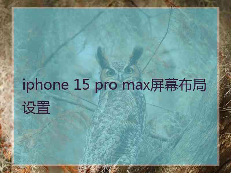 iphone 15 pro max屏幕布局设置