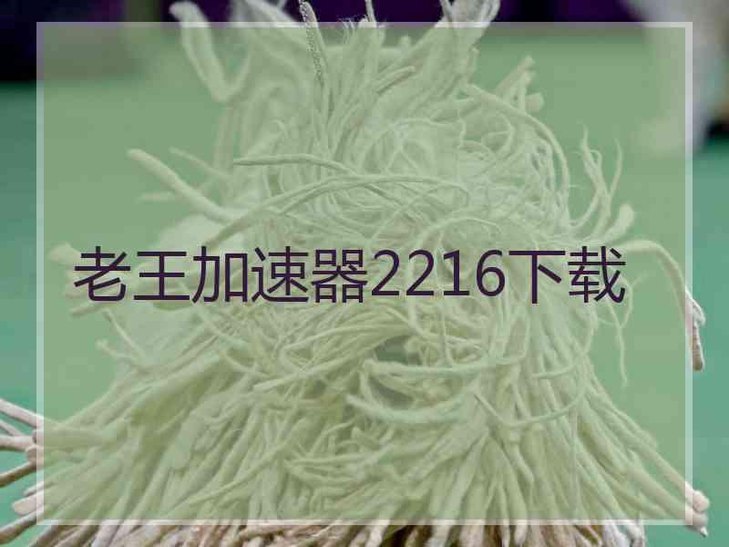 老王加速器2216下载