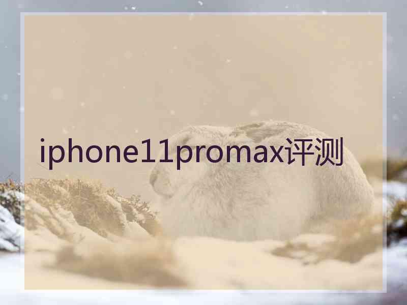 iphone11promax评测