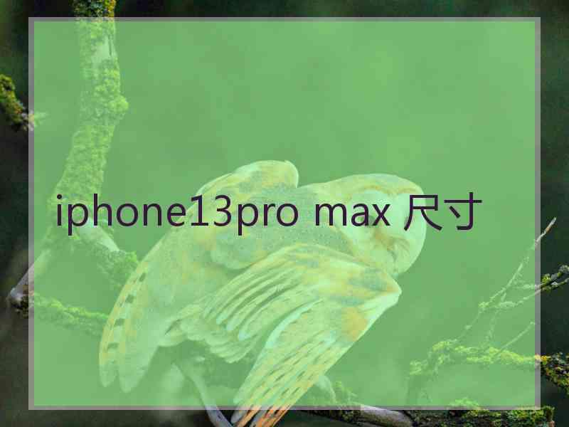 iphone13pro max 尺寸