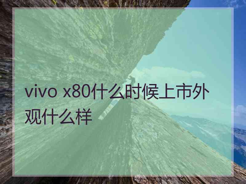 vivo x80什么时候上市外观什么样