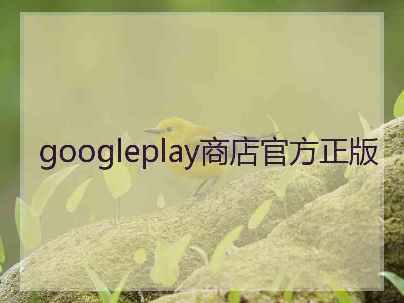 googleplay商店官方正版