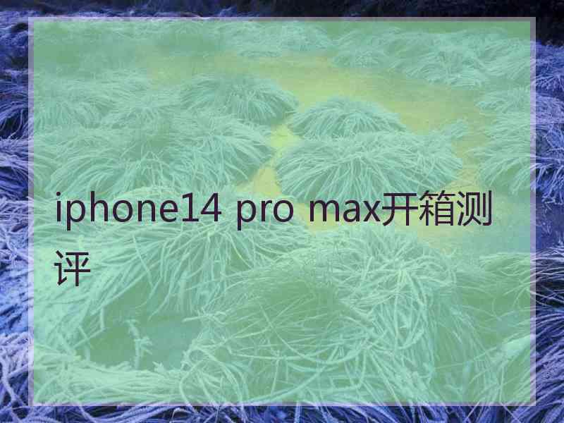 iphone14 pro max开箱测评