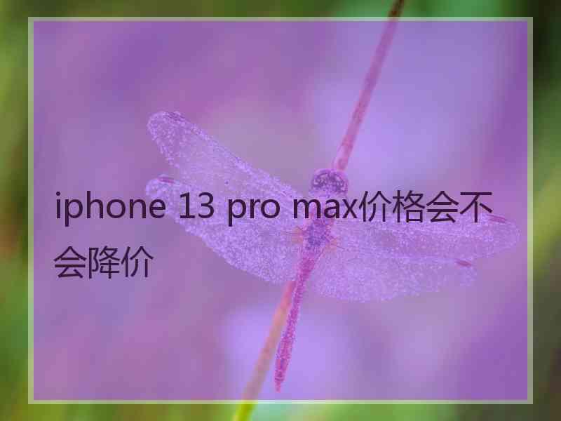 iphone 13 pro max价格会不会降价