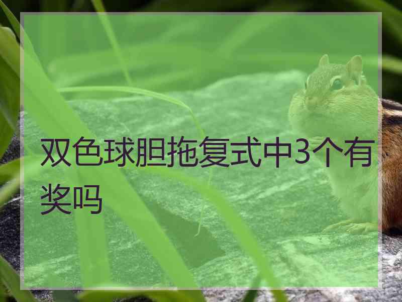 双色球胆拖复式中3个有奖吗