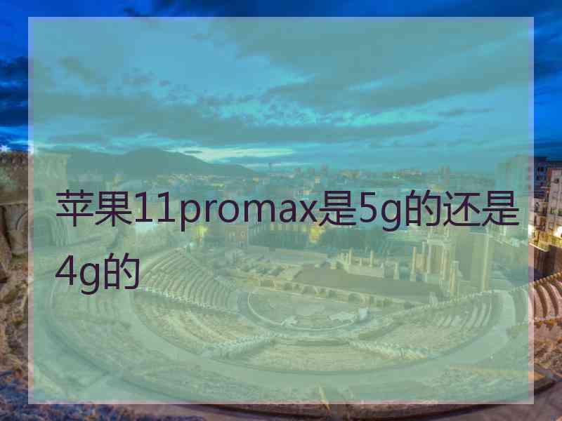 苹果11promax是5g的还是4g的