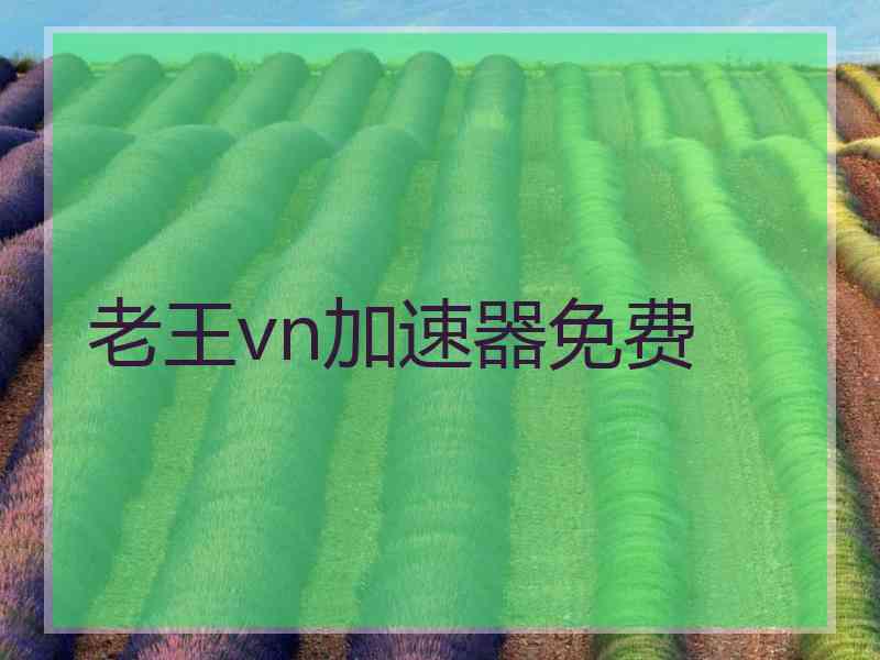 老王vn加速器免费