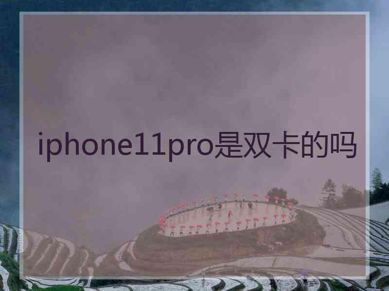 iphone11pro是双卡的吗