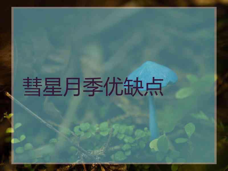 彗星月季优缺点