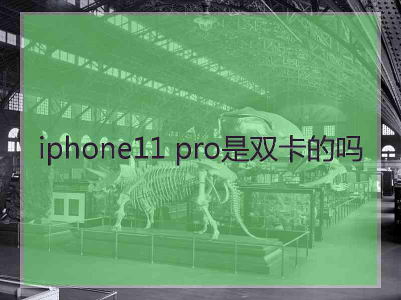 iphone11 pro是双卡的吗