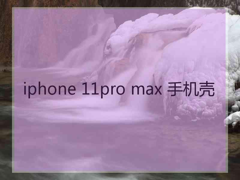 iphone 11pro max 手机壳