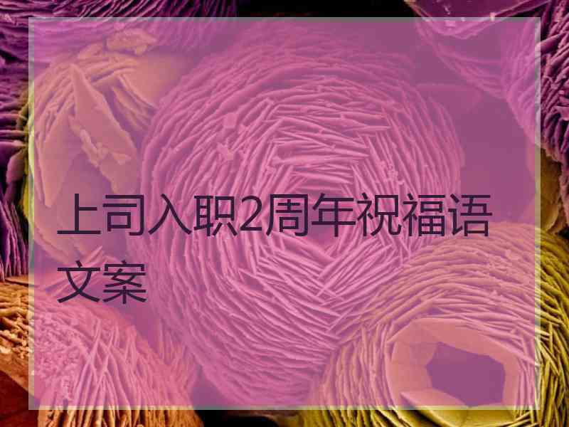 上司入职2周年祝福语文案