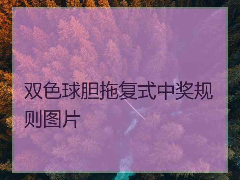 双色球胆拖复式中奖规则图片