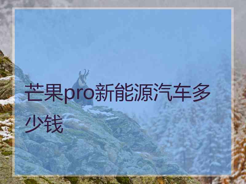 芒果pro新能源汽车多少钱