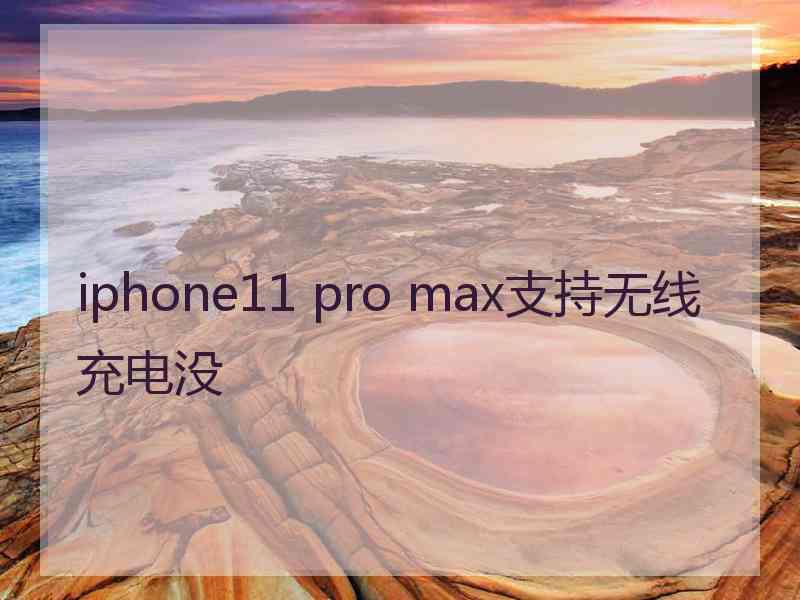 iphone11 pro max支持无线充电没