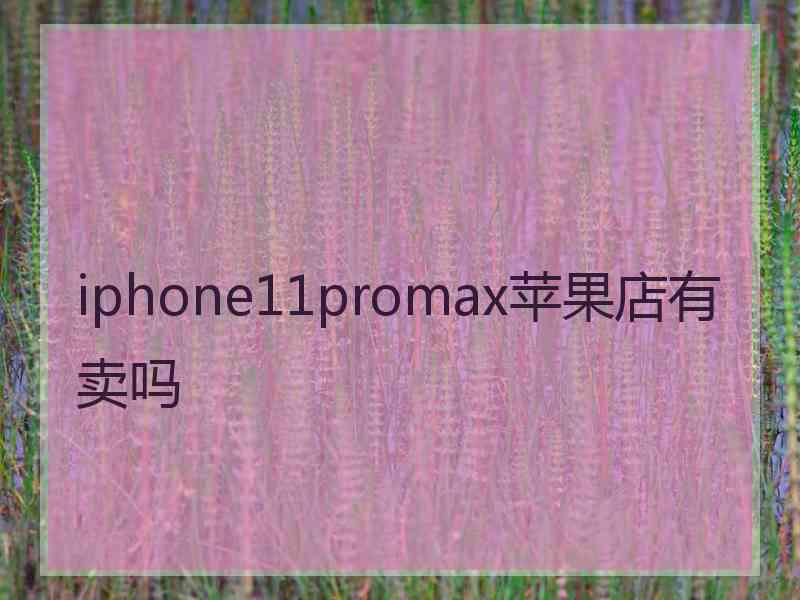 iphone11promax苹果店有卖吗