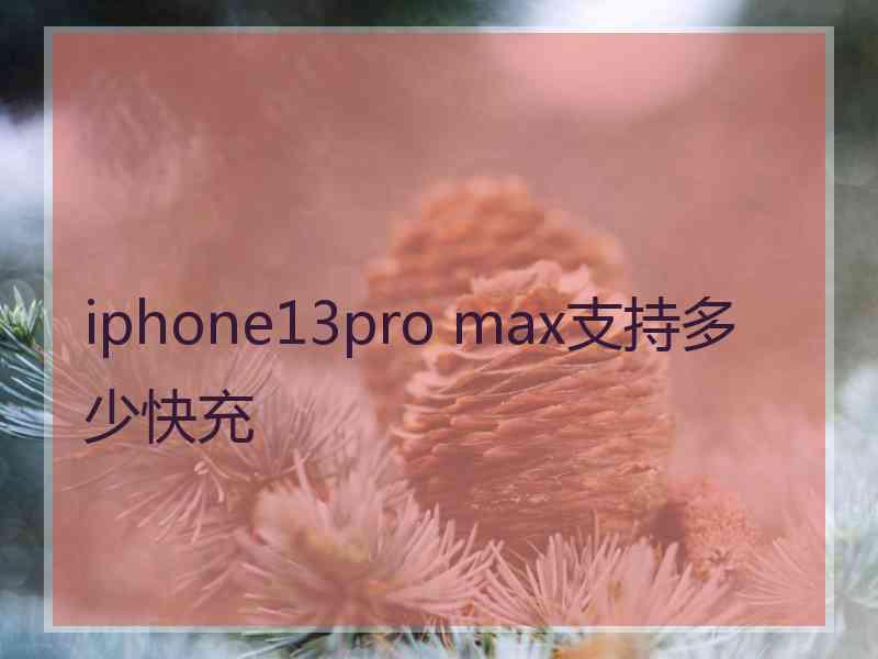 iphone13pro max支持多少快充