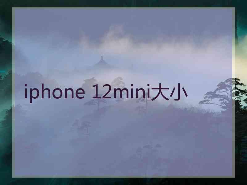 iphone 12mini大小