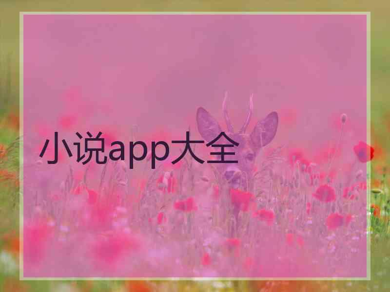 小说app大全