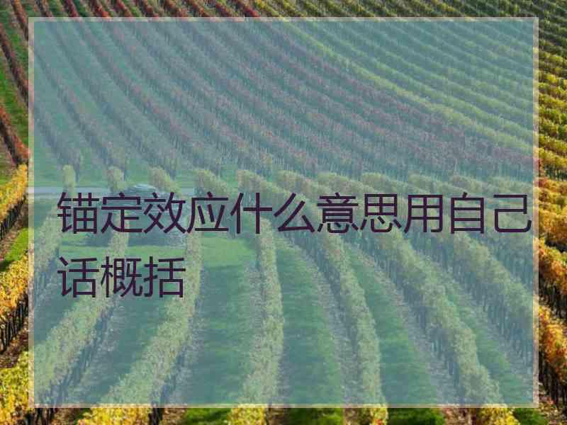 锚定效应什么意思用自己话概括