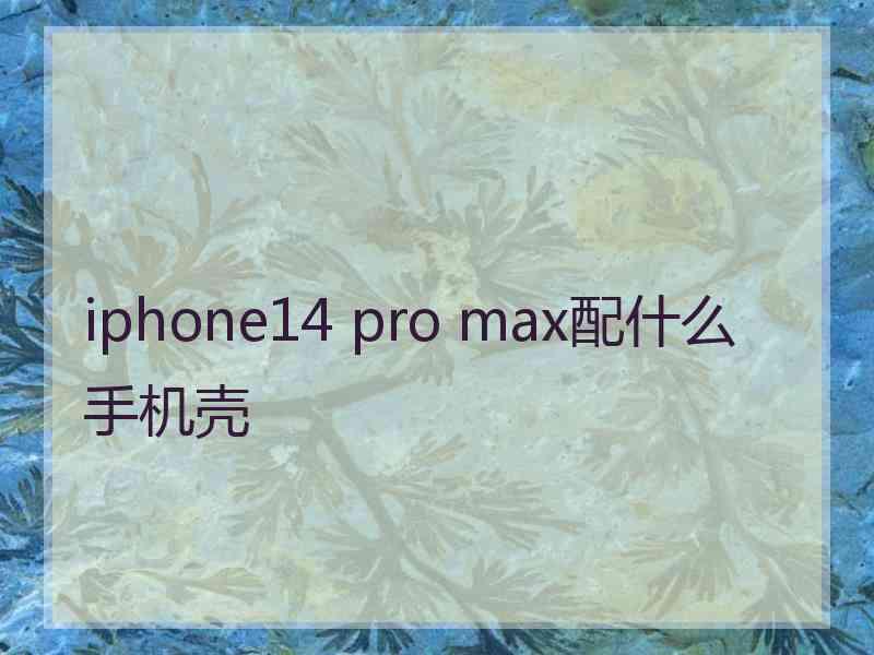 iphone14 pro max配什么手机壳