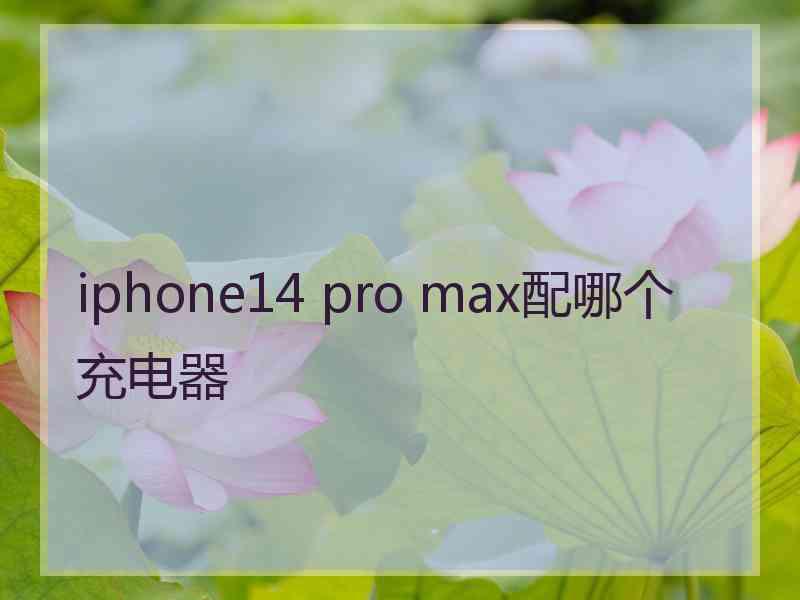 iphone14 pro max配哪个充电器