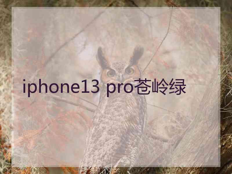 iphone13 pro苍岭绿