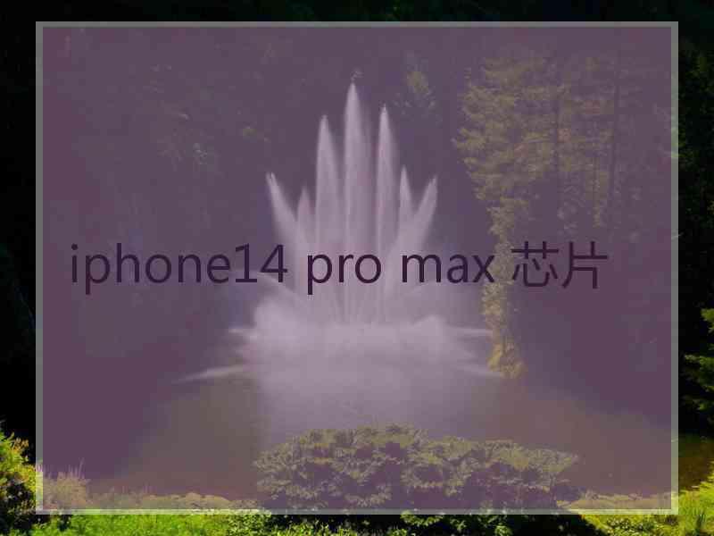 iphone14 pro max 芯片